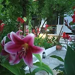 Pensión Stamatia's Garden Agnontas