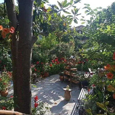 بيت ضيافة Stamatia's Garden Agnontas