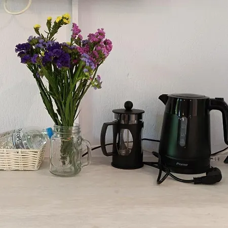 Πανσιόν Stamatia's Garden Αγνώντας