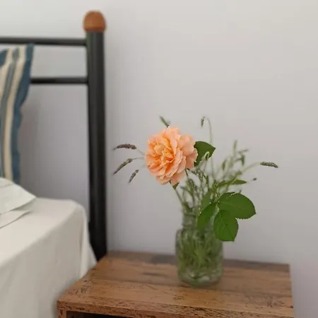 Πανσιόν Stamatia's Garden 3*