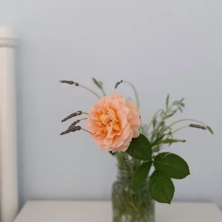 ゲストハウス Stamatia's Garden Agnontas