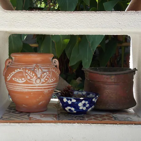 Stamatia's Garden * Agnontas