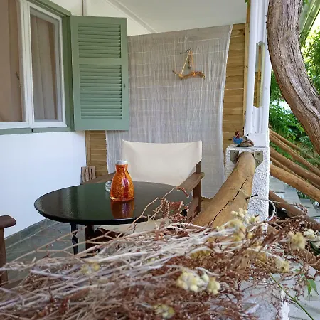 ゲストハウス Stamatia's Garden Agnontas