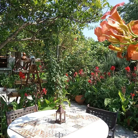 Stamatia's Garden