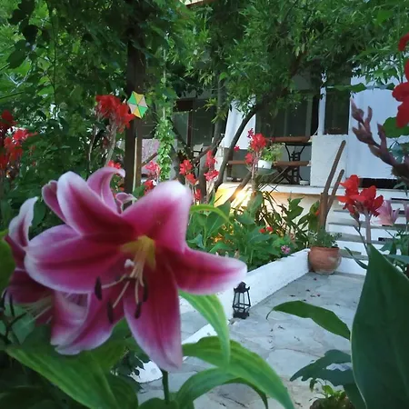 ゲストハウス Stamatia's Garden Agnontas