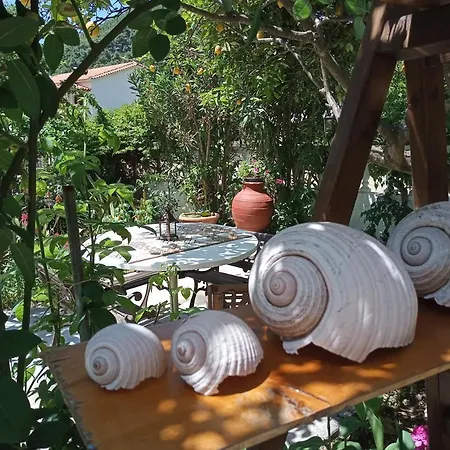 Stamatia's Garden Guest house Agnontas