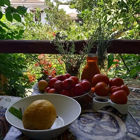 Stamatia's Garden بيت ضيافة Agnontas