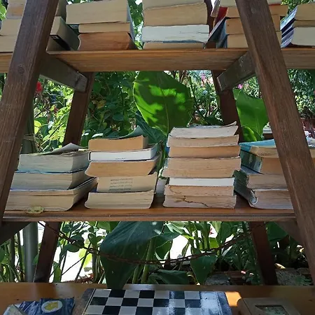 Stamatia's Garden