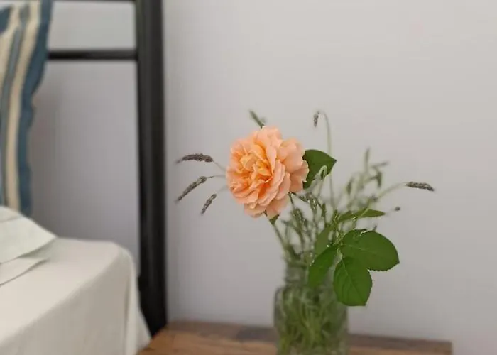 Πανσιόν Stamatia's Garden 3*