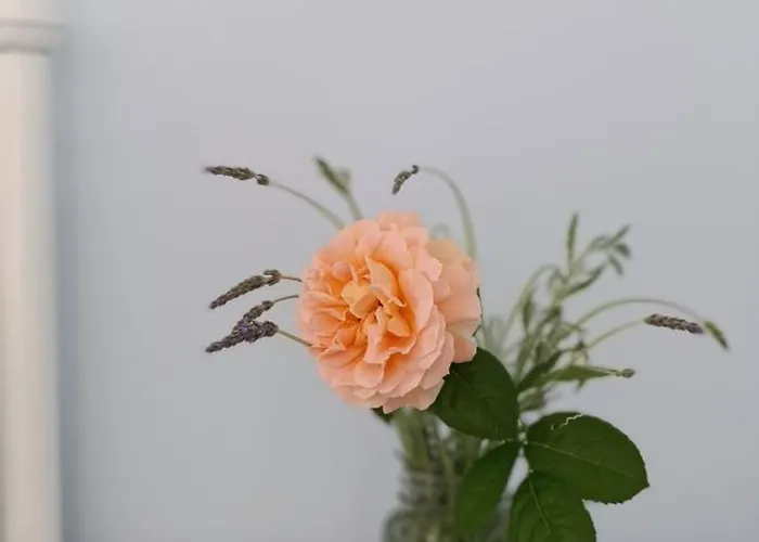 Πανσιόν Stamatia's Garden Αγνώντας