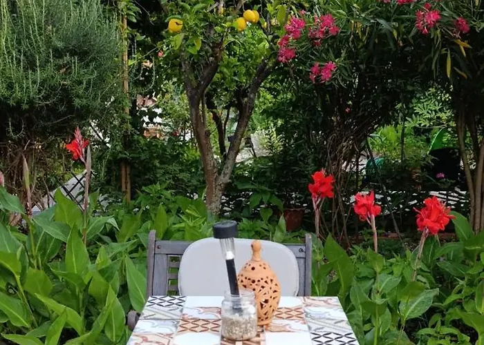 Πανσιόν Stamatia's Garden